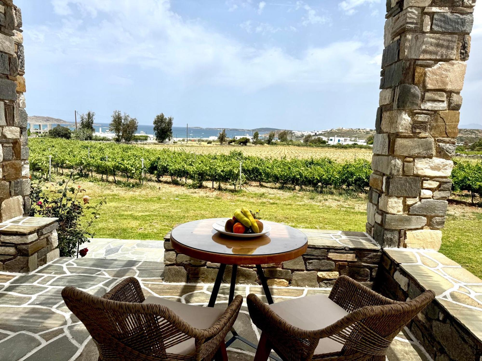Agrabeli Paros Aparthotel Νάουσα Εξωτερικό φωτογραφία